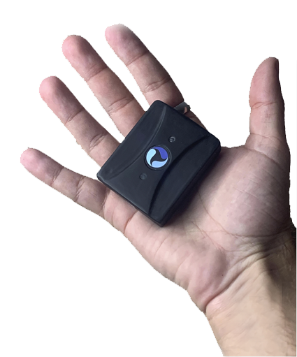 hand size.png