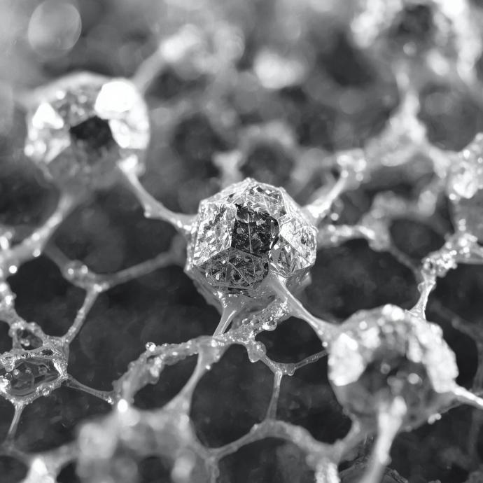 Platinum-anchored on Graphene (5 g, 5-10% metal content)