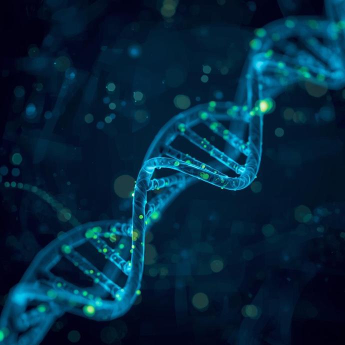 Genetic testing for famililal cerebral cavernous malformations (CCM)