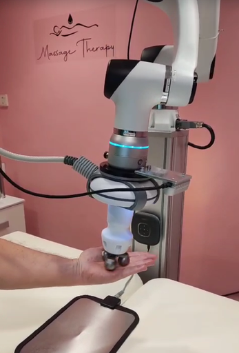 Massage therapy robot