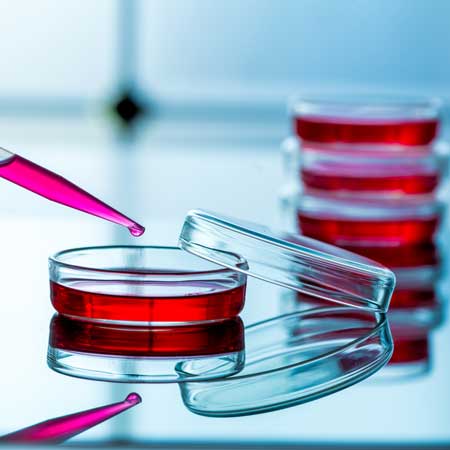 Primary cell culture (under lab controlled conditions)