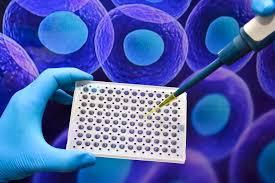 Screening of small molecules (in primary cell culture)